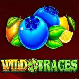 Wild Traces logo by Amusnet Interactive Winbeatz Casino